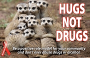 RRW_Posters_Hugging_Lemurs