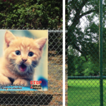 AwarenessHelp-Banners-Topper